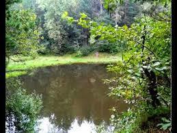 Rezerwat przyrody Biesak-Białogon